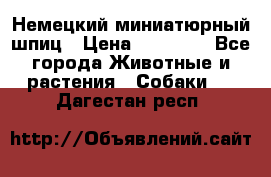 Немецкий миниатюрный шпиц › Цена ­ 60 000 - Все города Животные и растения » Собаки   . Дагестан респ.